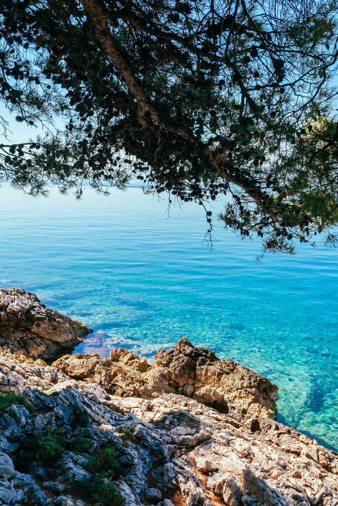 About Halkidiki Rentals
